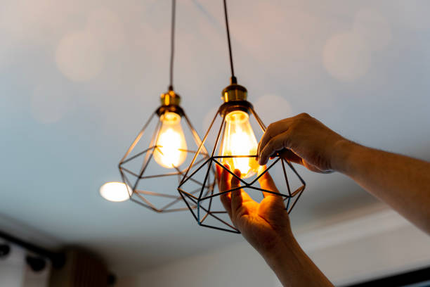Best Ceiling Fan Installation Electrician  in Rogersville, MO